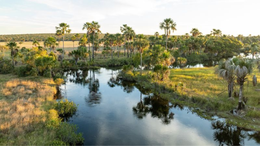 COP17 de Biodiversidade: lideranças indígenas e de povos e comunidades locais na defesa de territórios e repartição de benefícios