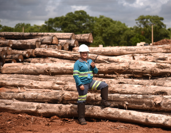 Recorde histórico no tratamento de cargas agrícolas e florestais em Rondonópolis/MT