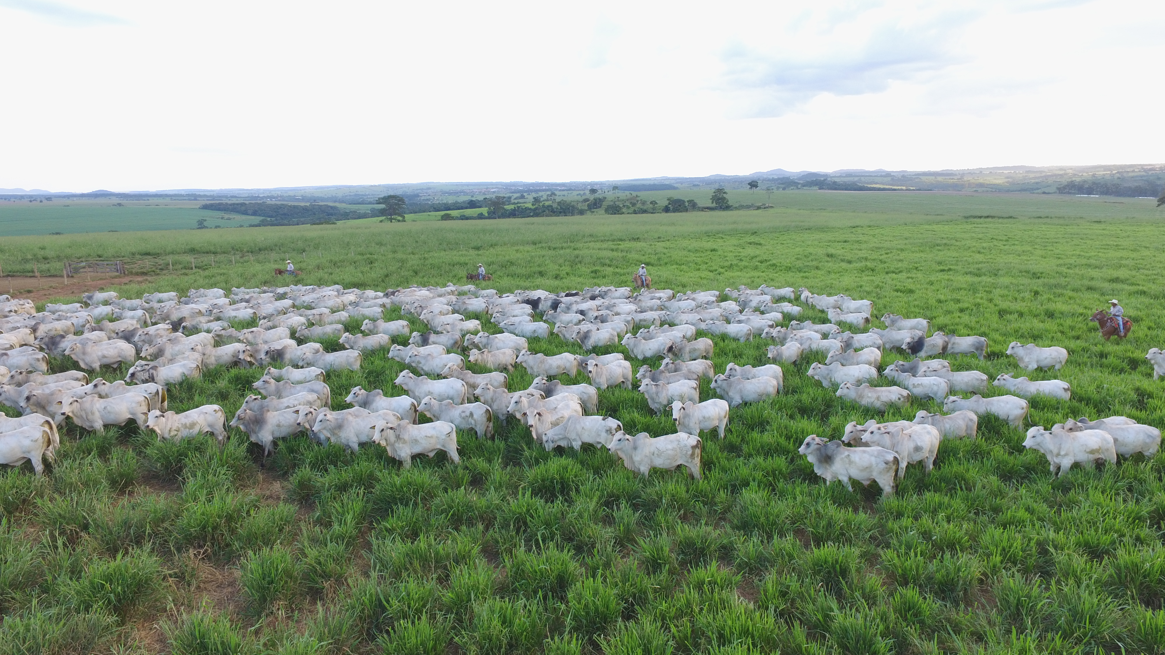 Escritórios Verdes JBS participam de mutirão em Diamantino para apoiar produtores na regularização ambiental