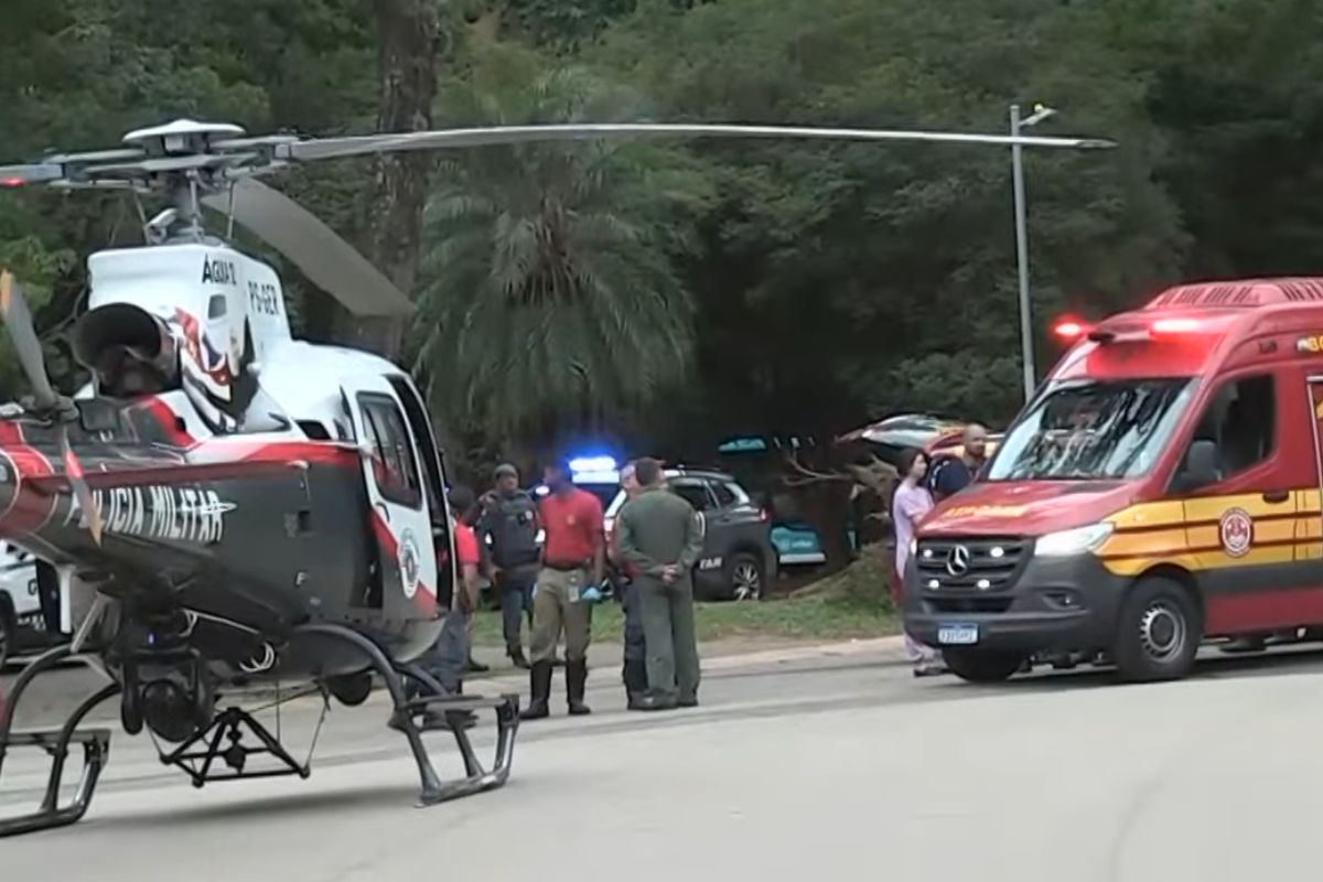 SP: três pessoas ficam feridas após árvore cair no Parque Ibirapuera