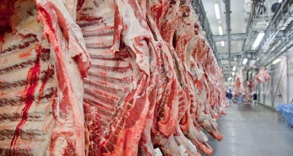 Exportações de carnes de MT crescem 43,12% e ultrapassam US$ 3,8 bilhões em 2025