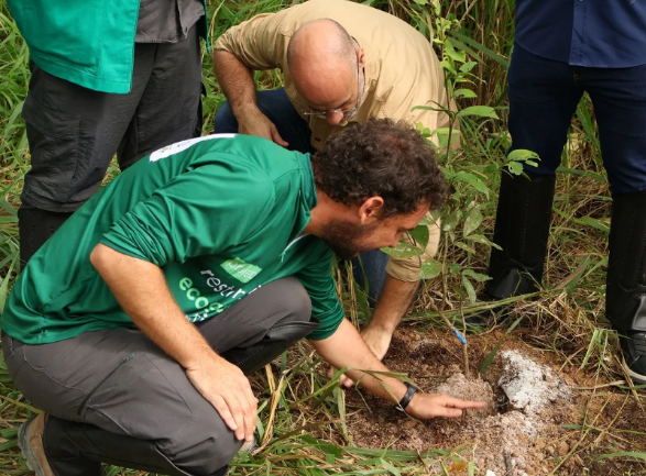 Projeto Restauração Ecológica vai recuperar 200 hectares de áreas degradadas