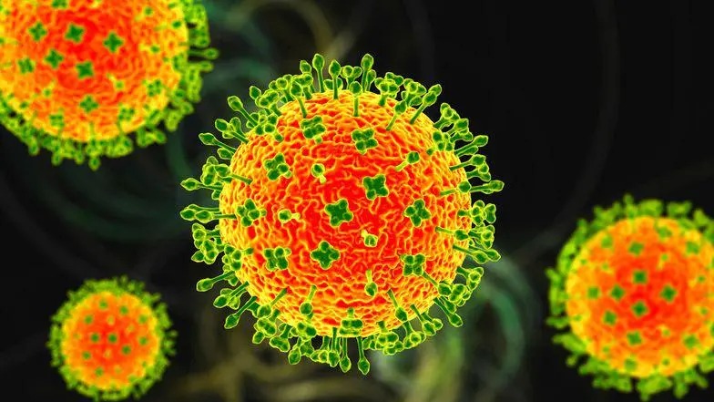 Especialista do HDT tranquiliza população sobre vírus Nipah