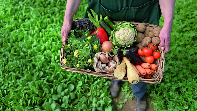De MT ao exterior: como práticas adotadas no estado ajudam a reduzir fome a nível global 