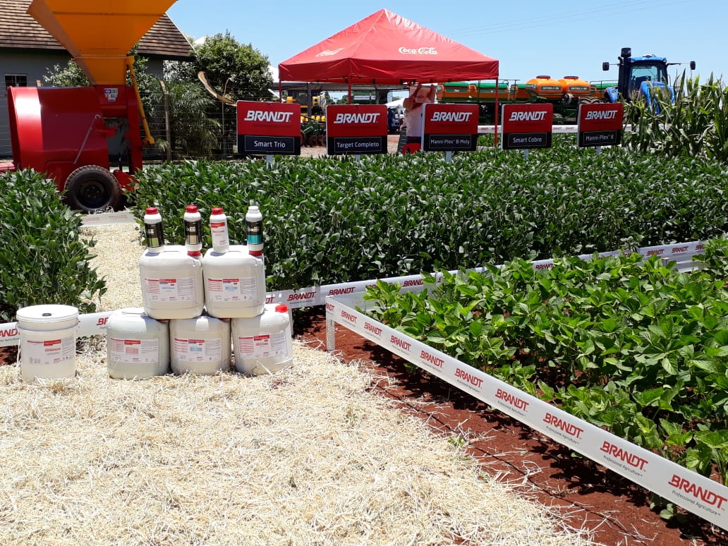Brandt participa de dia de campo, que discutirá perspectivas econômicas e o panorama da próxima safra de grãos 