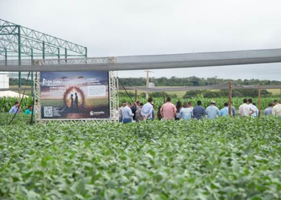 Conceito Sementes apresenta novas cultivares em Dia de Campo em Rio Verde (GO) e anuncia expansão para o Mato Grosso