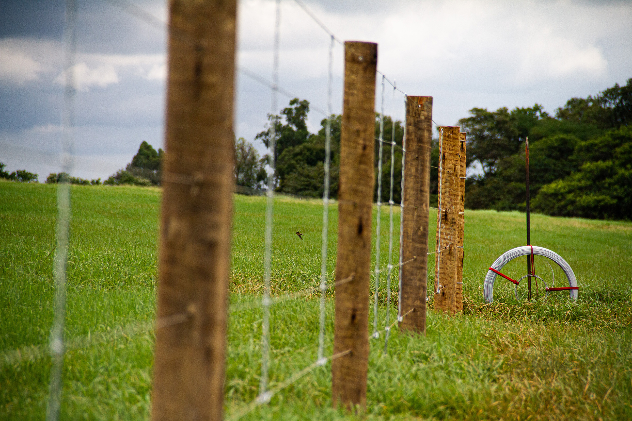 Agro brasileiro fecha 2025 com força, resiliência e visão de futuro e já prepara o caminho para 2026