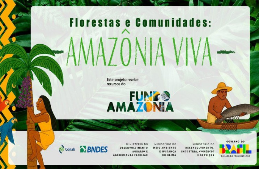 Fundo Amazônia lança chamada pública de R$ 80 milhões para produção sustentável