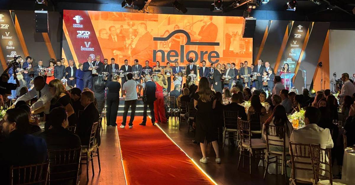 Nelore Fest 2025?reúne?os vencedores do Ranking Nacional e do Circuito Nelore de Qualidade, em São Paulo