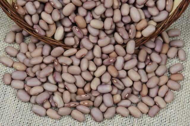 Feijão pode chegar a R$ 12 o quilo em 2027, mesmo com preço alto no campo