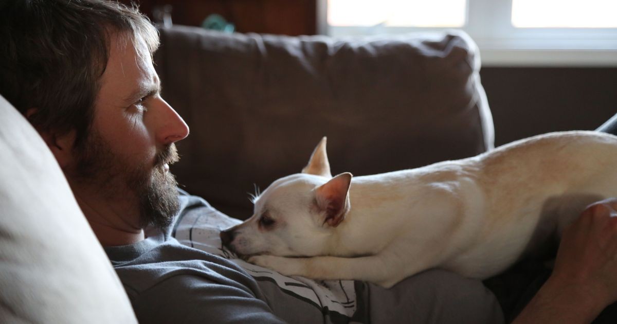 Estudo mediu cortisol em pets e seus donos e confirmou: seu cachorro também se estressa quando você está estressado