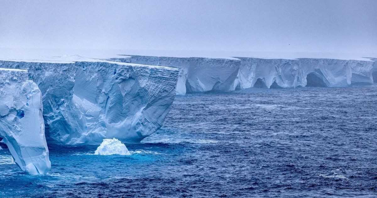 O maior iceberg do Ártico desde 2020 se desprendeu da Groenlândia e resiste