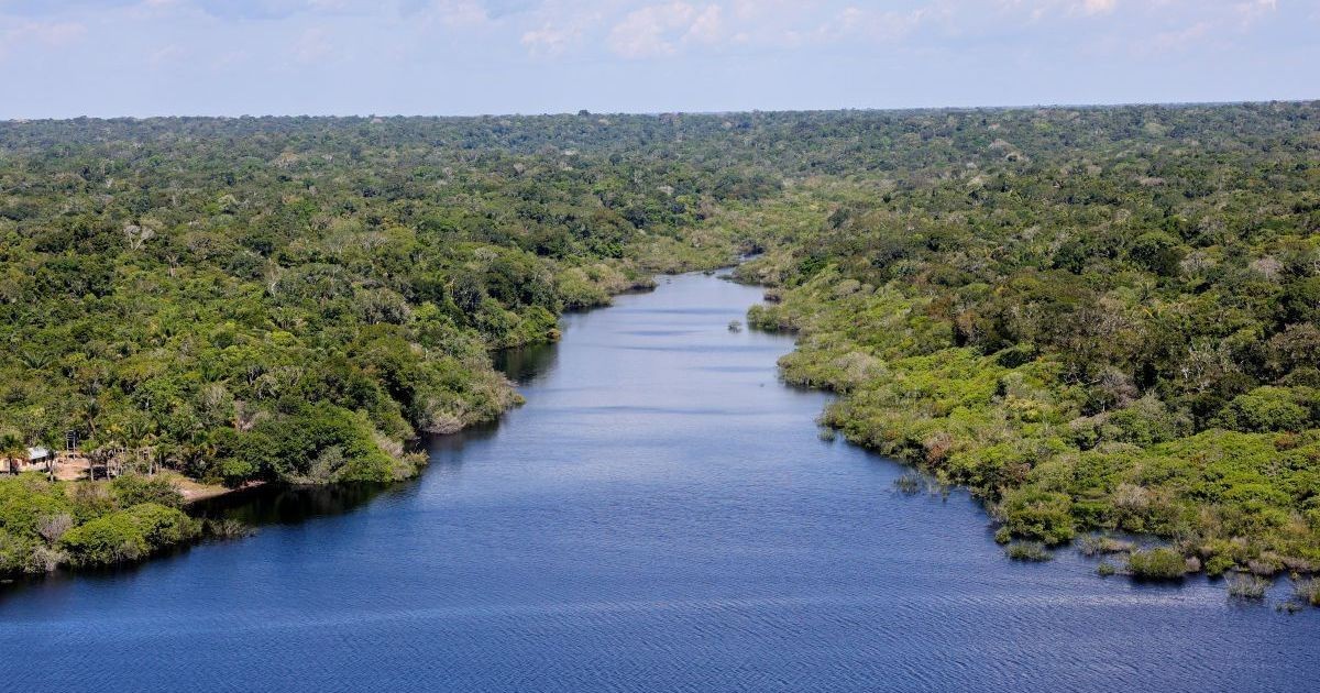BNDES aprova R$ 200 mi para restauração de 7,2 mil hectares na Amazônia