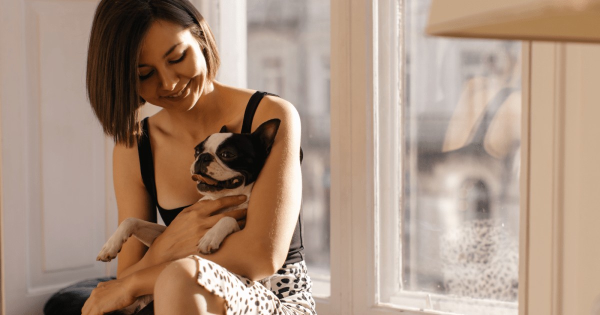 A Lei de Bem-Estar Animal proíbe que donos de cães e gatos coloquem os animais de estimação em situações de sofrimento; entenda