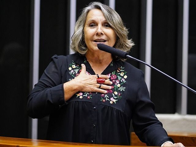 Quem é Erika Kokay, candidata ao Senado pelo Distrito Federal