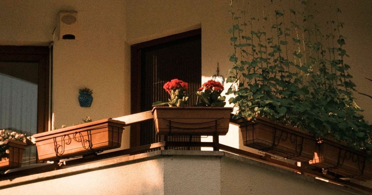 Morador que colocou vasos no parapeito da varanda pode ser multado pelo condomínio e até responder criminalmente; entenda a regra e como se proteger