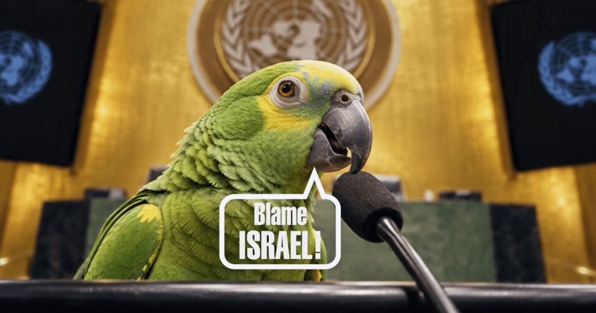 Vídeo: Governo de Israel critica ONU e chama opositores de “papagaios”