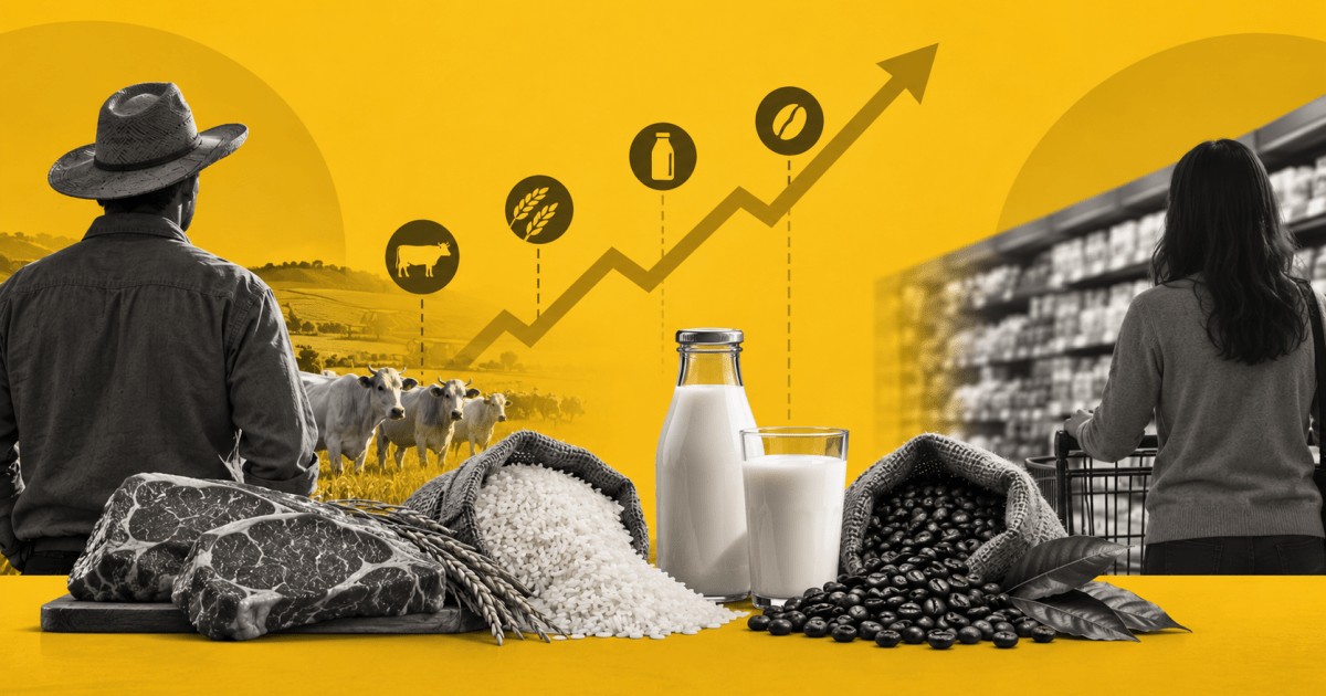 Do campo à gôndola: por que o preço dos alimentos muda tanto