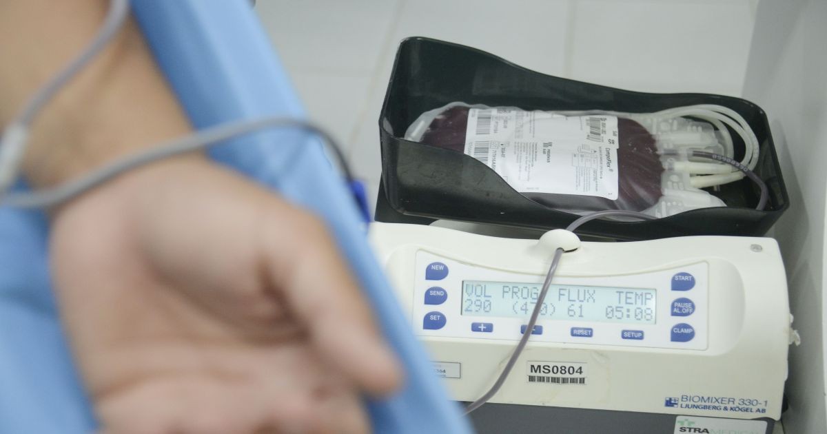 Por que Testemunhas de Jeová não aceitam transfusões de sangue? Entenda