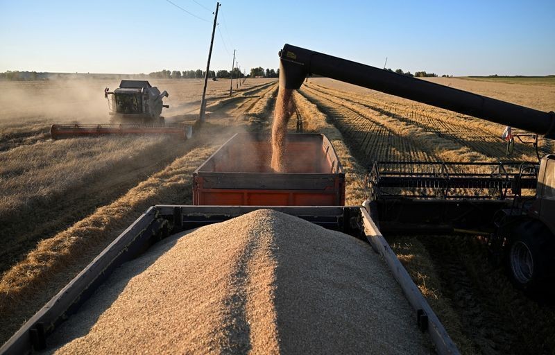 Vendas de trigo da Rússia caem com bloqueio no Mar Negro