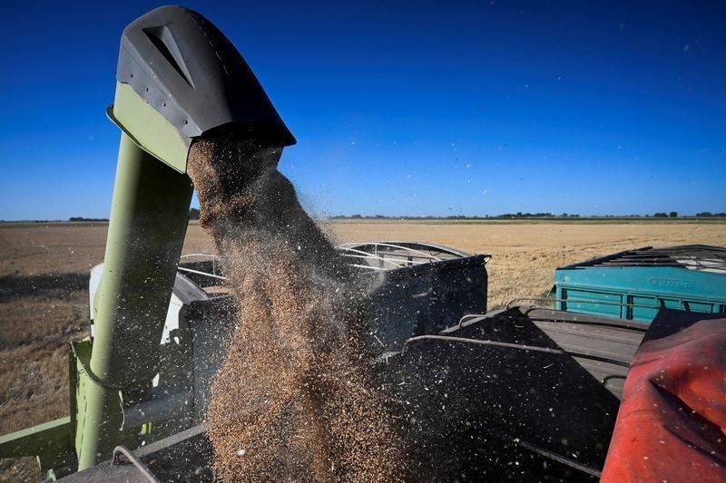 Argentina pode obter uma receita agrícola quase recorde em 2027