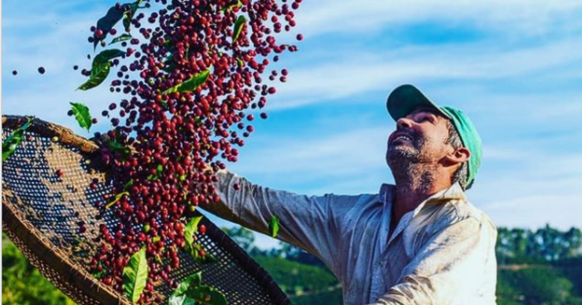 Café sobe com queda do dólar e arábica atinge máxima em uma semana em NY