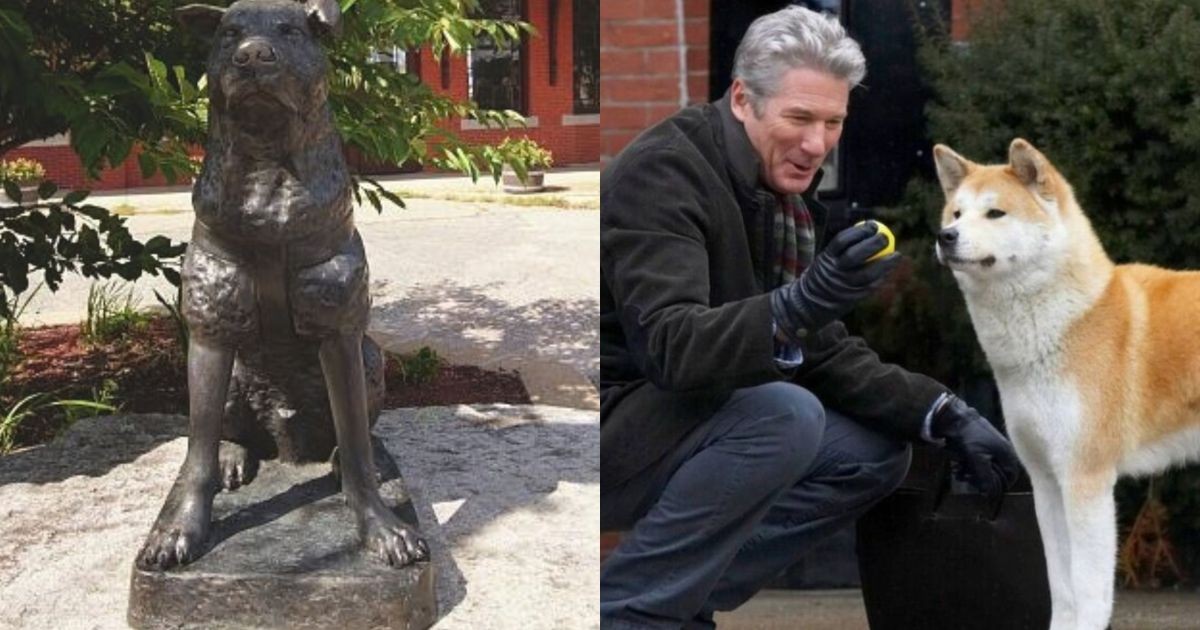 Cachorro esperou dono por mais de 10 anos em estação de trem do Japão; relembre história que inspirou filme com Richard Gere