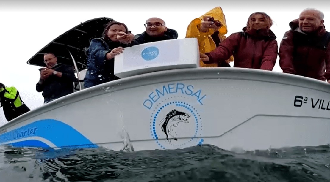 Águas europeias registraram os meses de verão mais quentes desde que os sensores de satélite começaram a fornecer dados; pesca é severamente ameaçada