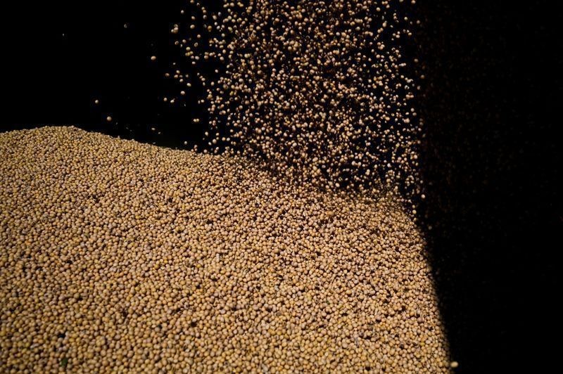 Negociações de soja e milho no Brasil enfrentam resistência de produtor