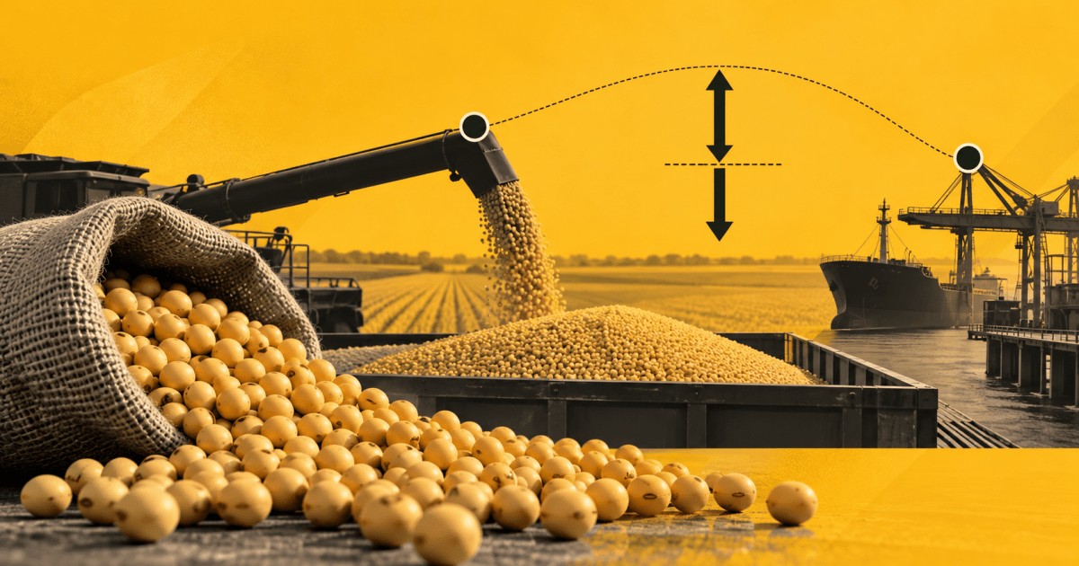 O que é basis? Entenda como o prêmio da soja influencia o preço ao produtor