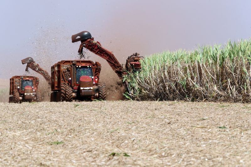 Agro paulista movimenta R$ 657,6 bilhões e responde por 18,9% do PIB
