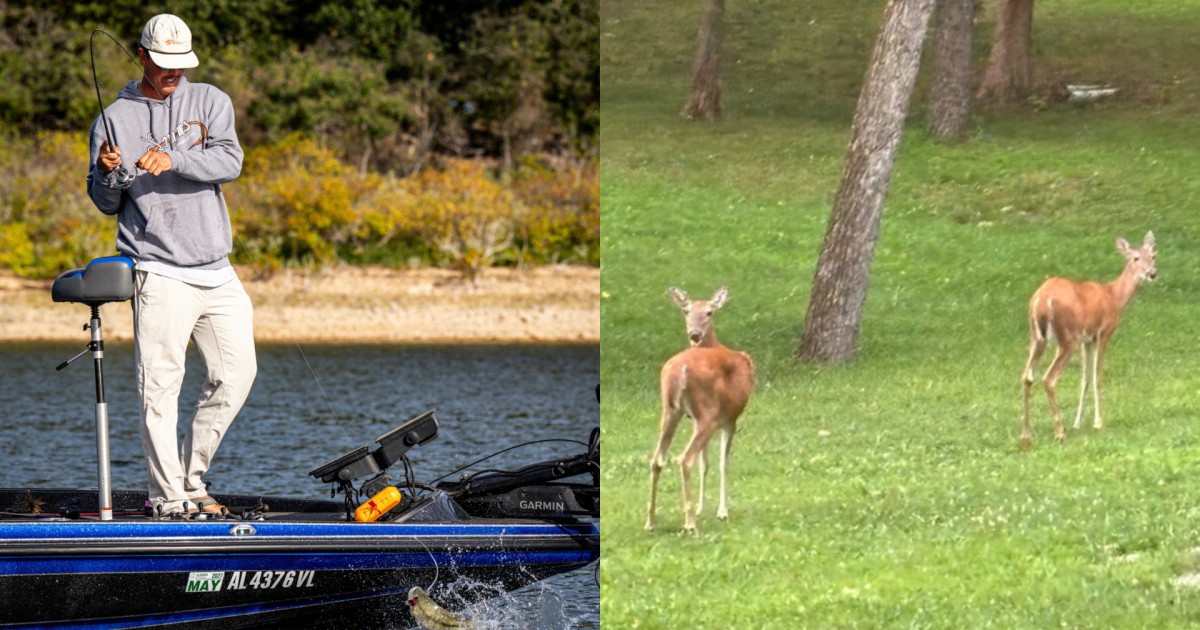 Americano ganha campeonato de pesca com estratégia inusitada: ‘perguntando’ aos cervos onde achar peixes