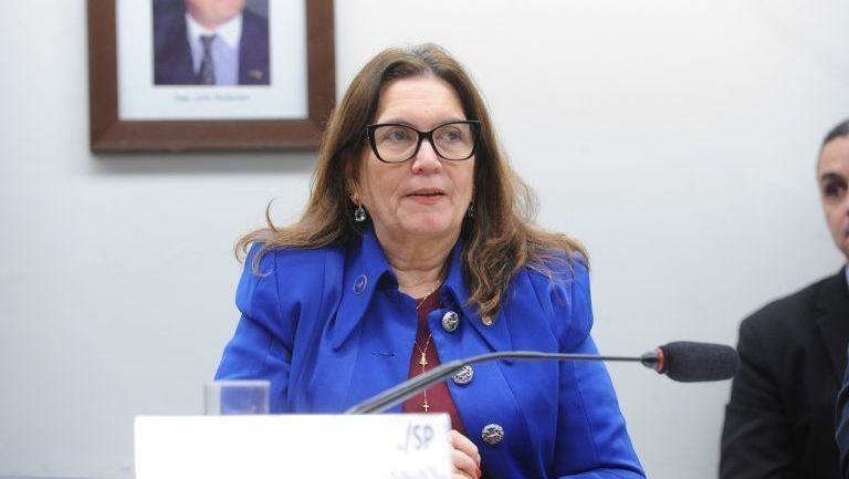 Dino manda TRE apurar suposta propaganda disfarçada em favor de Bia Kicis