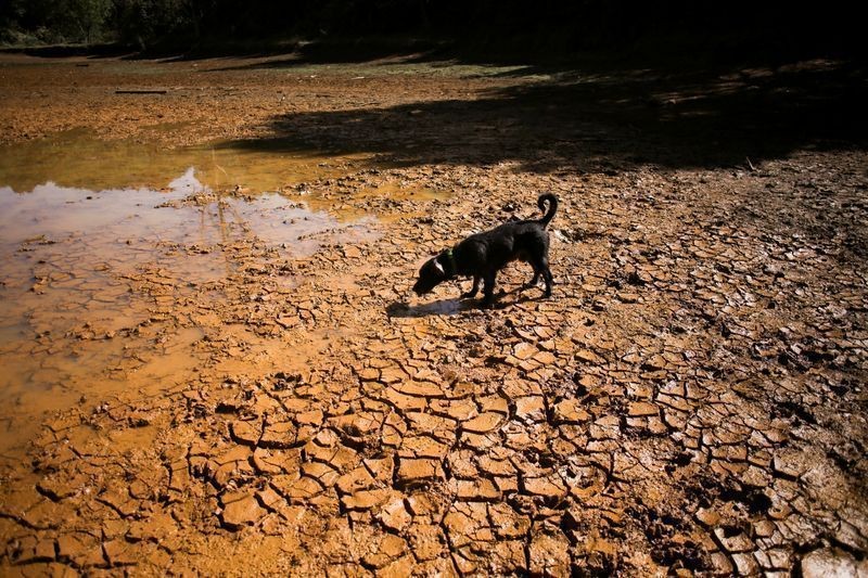 China prevê “super El Niño” mais intenso já registrado