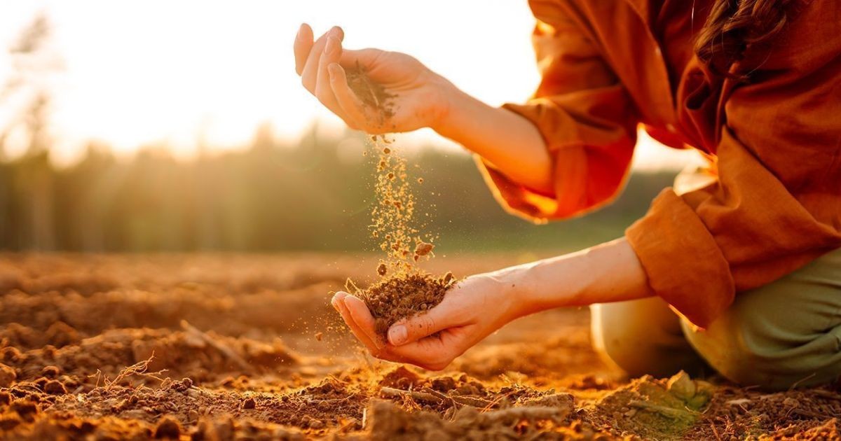 BrasilAgro vende área de fazenda na Bahia por R$ 96,4 milhões