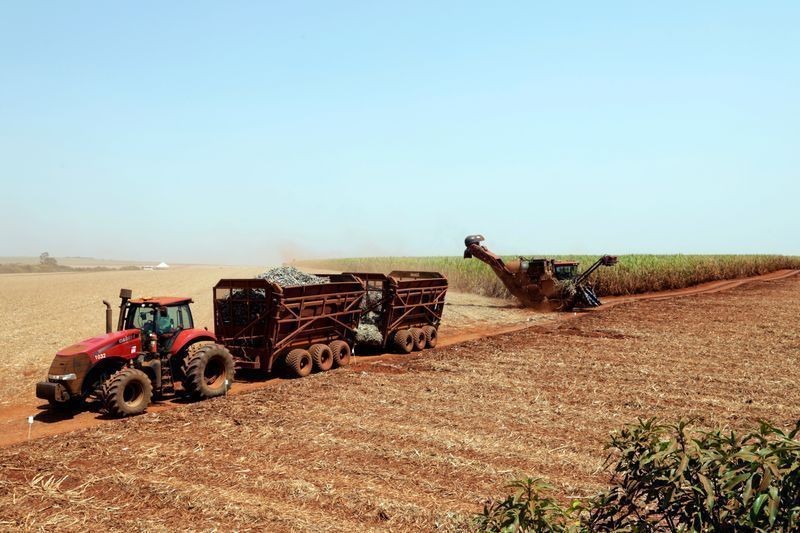 Clima, e não o preço, será fator determinante para produção nas usinas