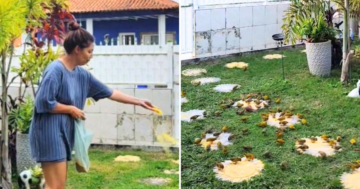 “Branca de Neve” do Rio de Janeiro virou a humana favorita de centenas de passarinhos que a visitam todos os dias