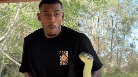 Rayan e Vitor Reis se assustam com cobra em visita a parque na Austrália
