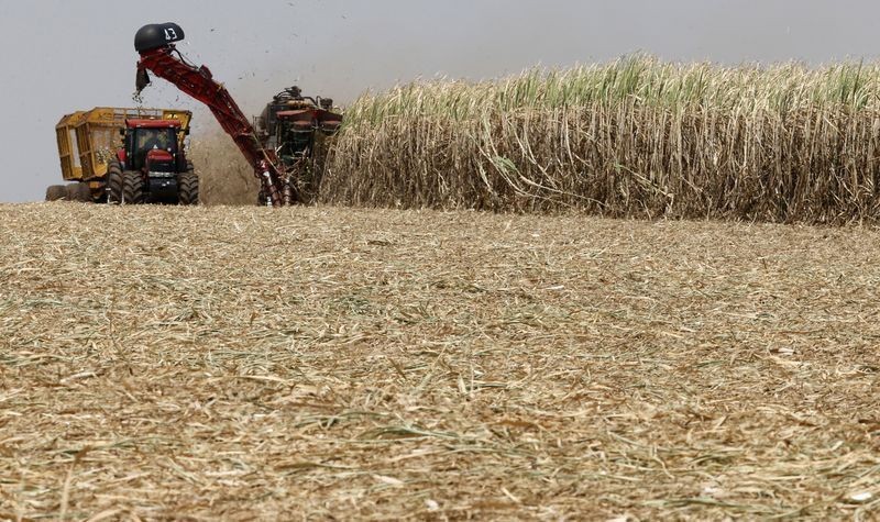 Vendas de etanol no Brasil em agosto atingem maior nível desde 2019