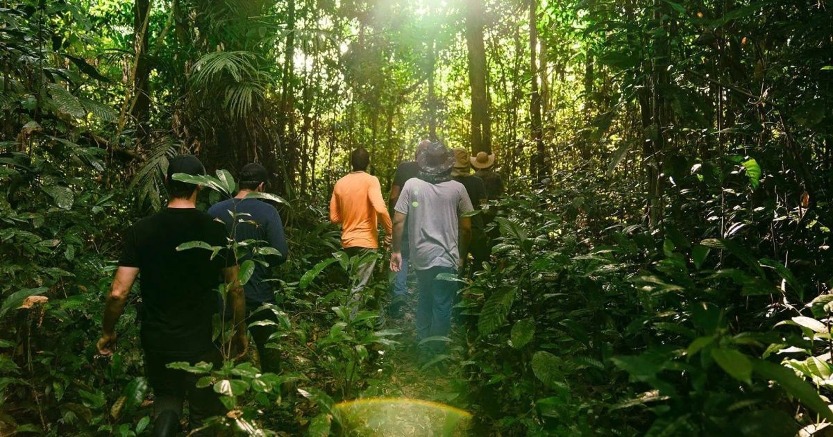 BNDES libera R$ 18 milhões para projeto agroflorestal em Roraima