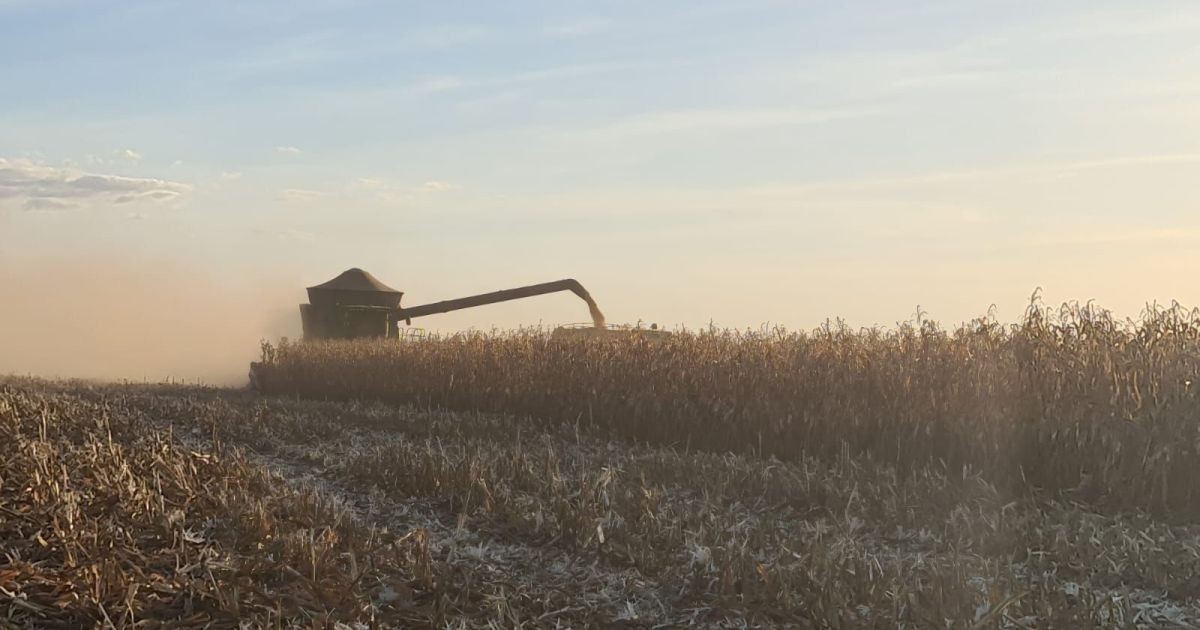 Crédito mais caro abre espaço para operações estruturadas no agro