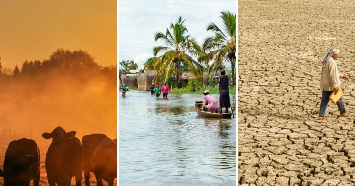 El Niño “muito forte” deve trazer seca e chuva ao Brasil já em outubro