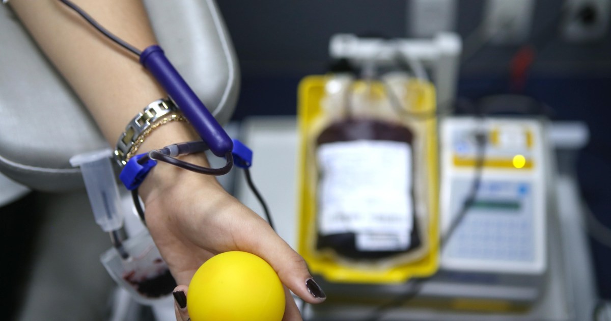 Novas regras para doação de sangue no Brasil: veja o que muda