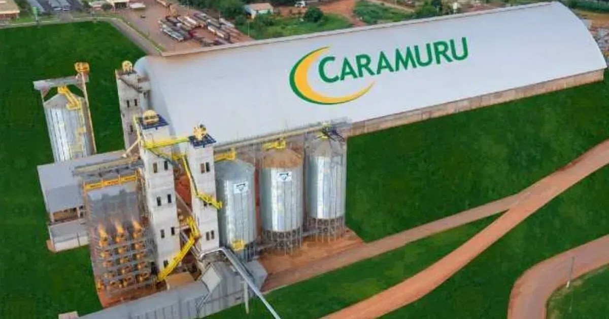 Caramuru Alimentos elege Alexandre Silva como diretor financeiro e de RI