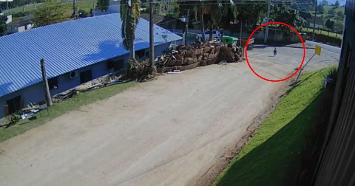 Polícia indicia diretora e vigia de creche de onde bebê saiu sozinho em SC
