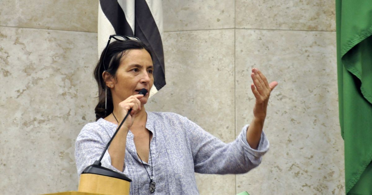 Saiba o número de Soninha Francine, candidata do Cidadania ao Senado por SP