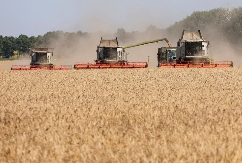 Exportações de grãos da Ucrânia caem 36,6% em setembro, diz governo