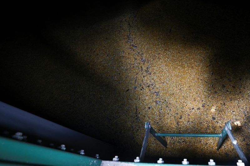 Exportações agrícolas da Argentina para UE disparam após acordo com bloco