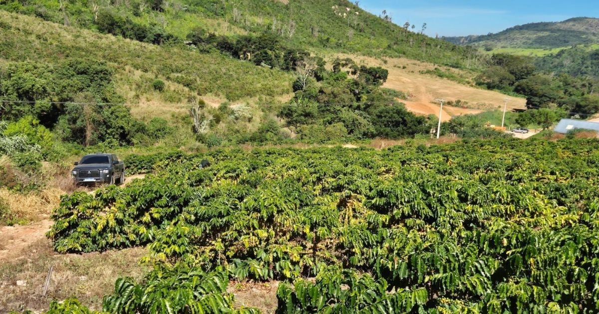 Imagem global do agro é melhor entre setores, mas falta comunicação