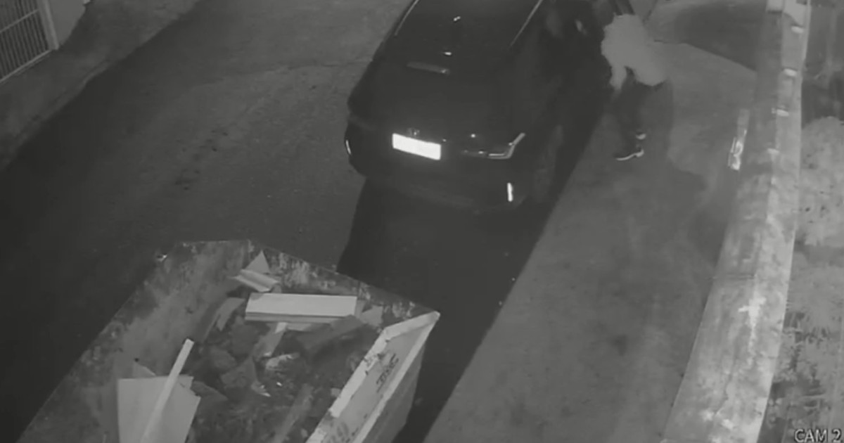 Dois chilenos são presos por furtos a casas em Santa Catarina